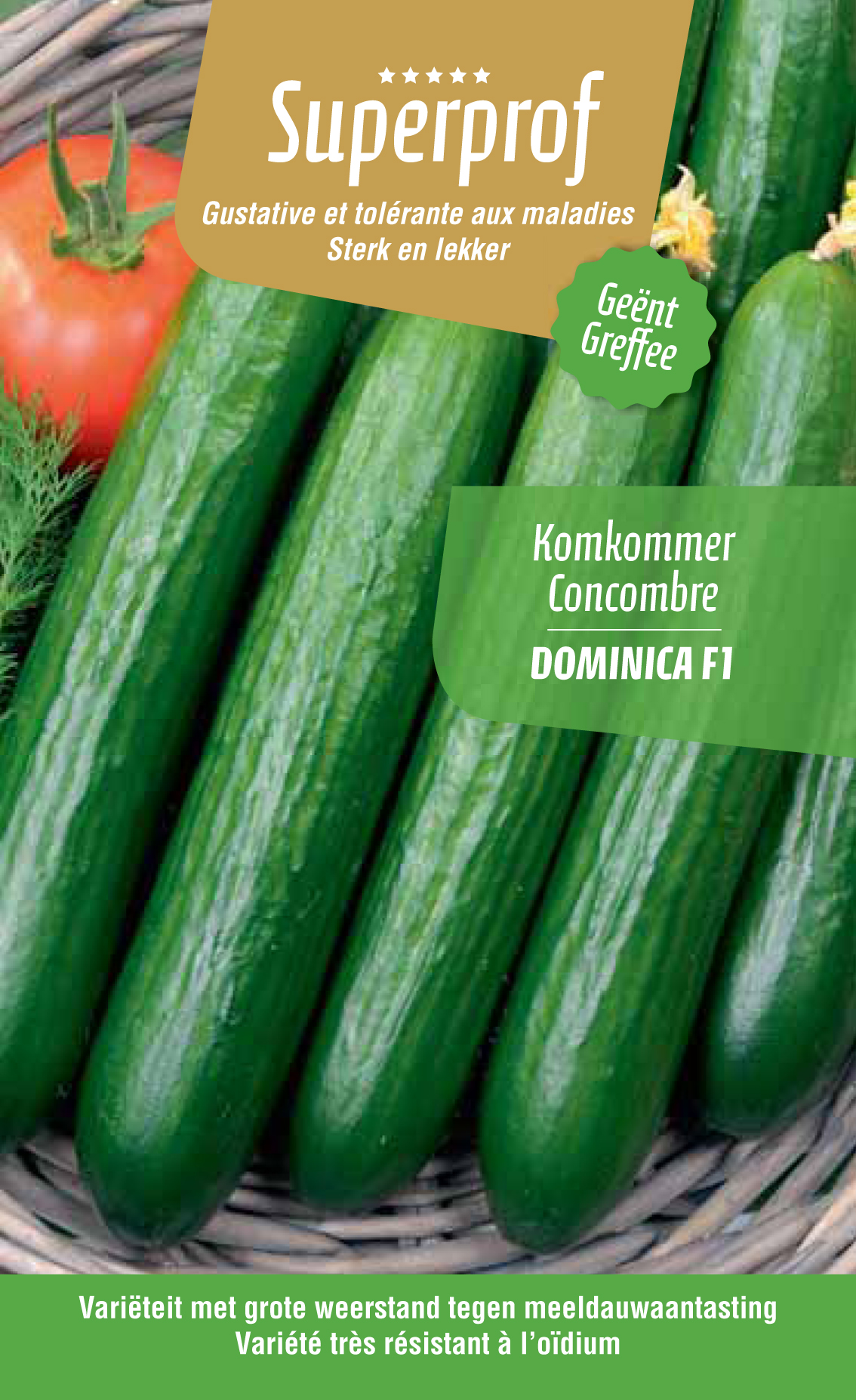 Komkommer geënt Dominica F1 (tray 8 pot)